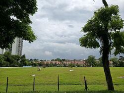 Blk 176 Ang Mo Kio Avenue 4 (Ang Mo Kio), HDB 5 Rooms #504595311